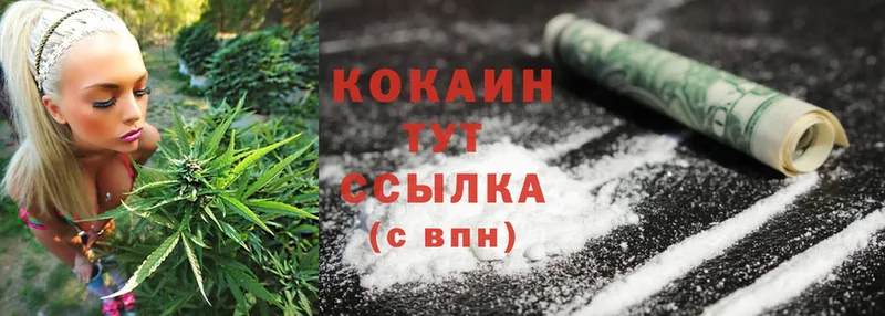 наркошоп  Тавда  hydra ссылка  Cocaine FishScale 